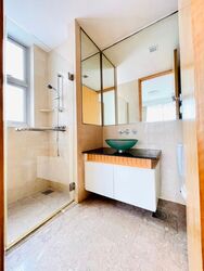 Cairnhill Crest (D9), Condominium #555163511